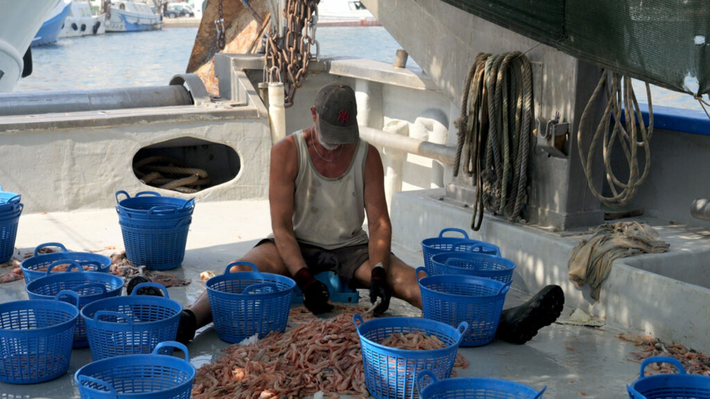 Esto sí tiene nombre: gamba blanca. La piscifactoría, al otro lado, solo produce "producto".